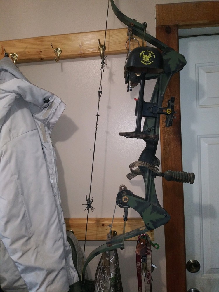 Oneida Eagle Tomcat II EXP compound bow