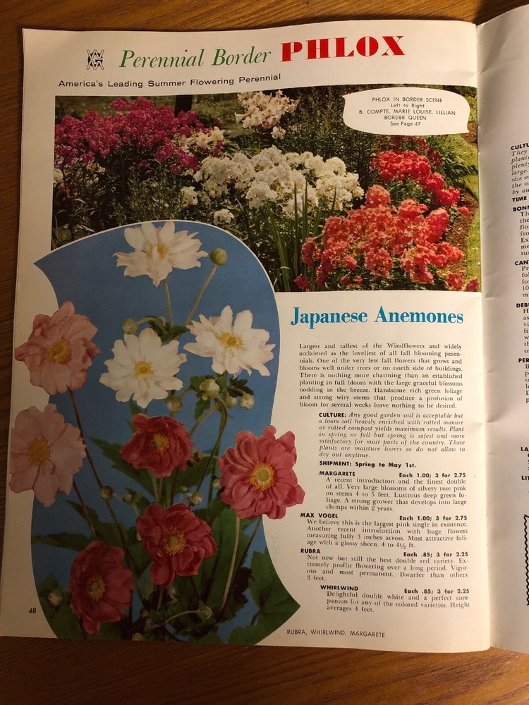 1959 Walter Marx Gardens Boring Oregon Mail Order Catalog