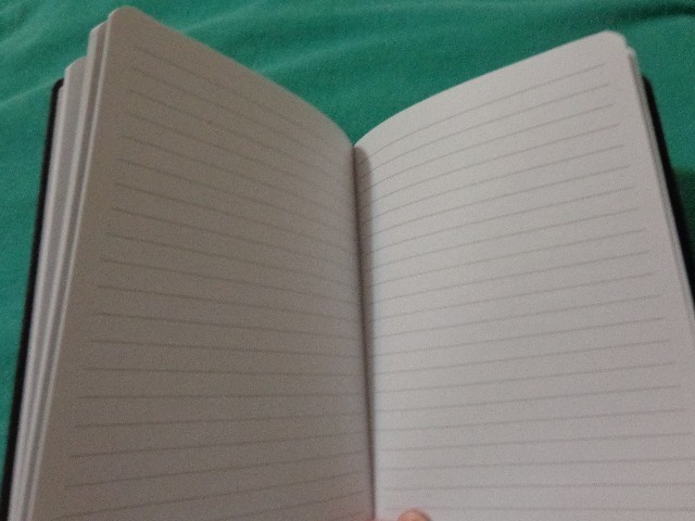 indeed flex Notebook Black