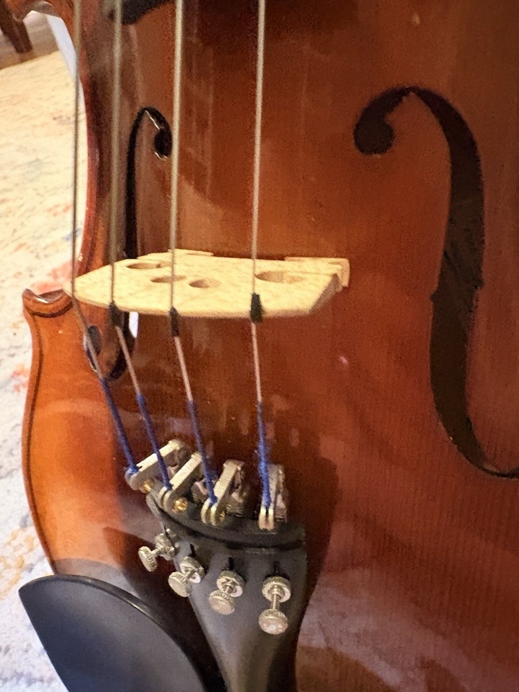 Voila Size 14 Student