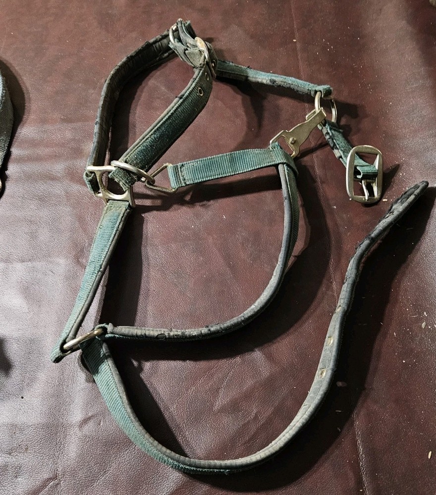 Two Yearling Medium Horse Leather Double Poly Stitched Halter