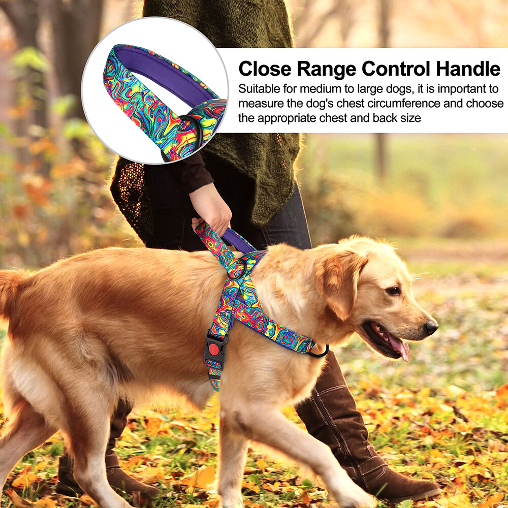 No Pull Dog Harness Nylon Soft Padded with Front Clip for Small Medium Large Dog