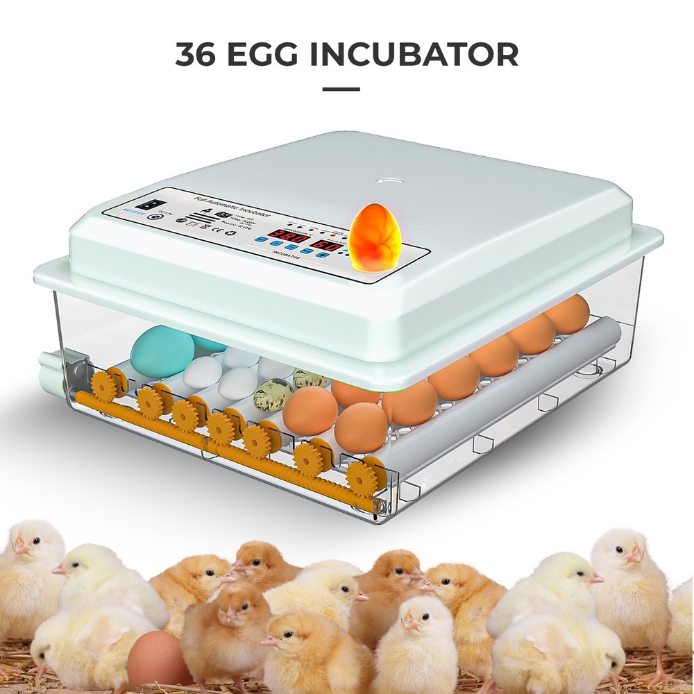 36 Egg Incubator with Auto-Turning, Temperature & Humidity Control Egg Hatcher