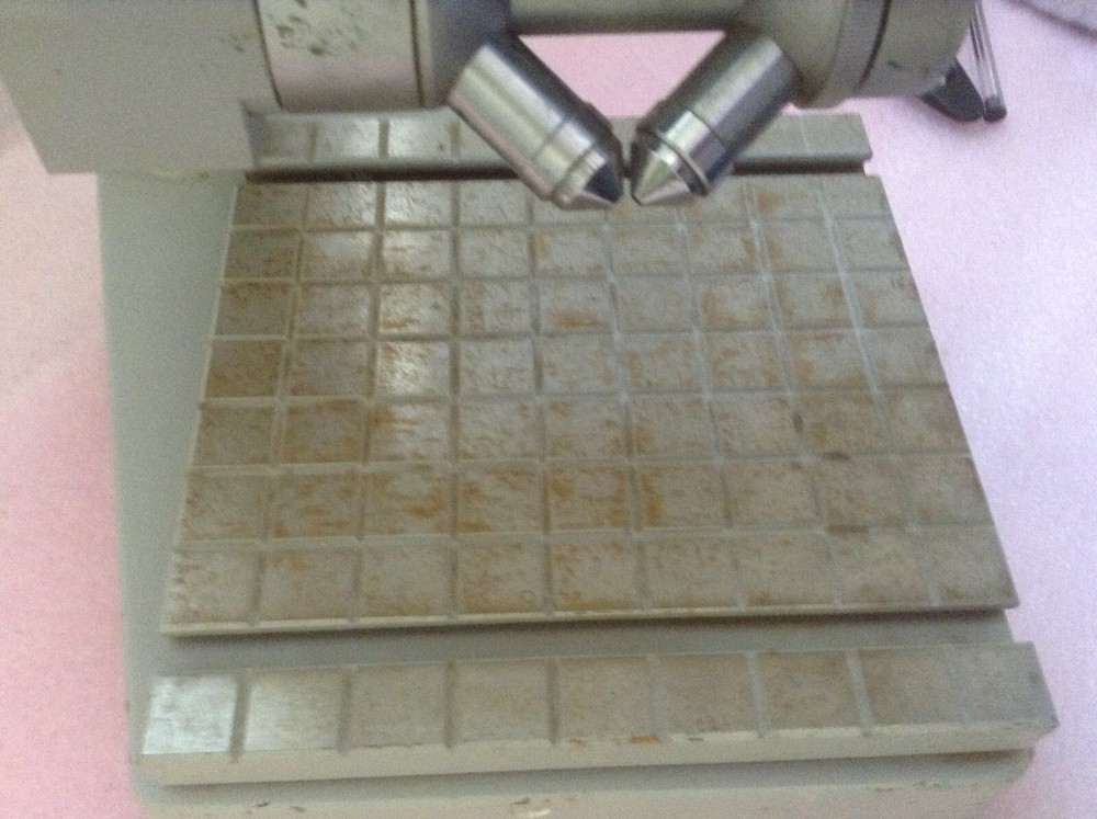 Zeiss 5103198 400X Microscope