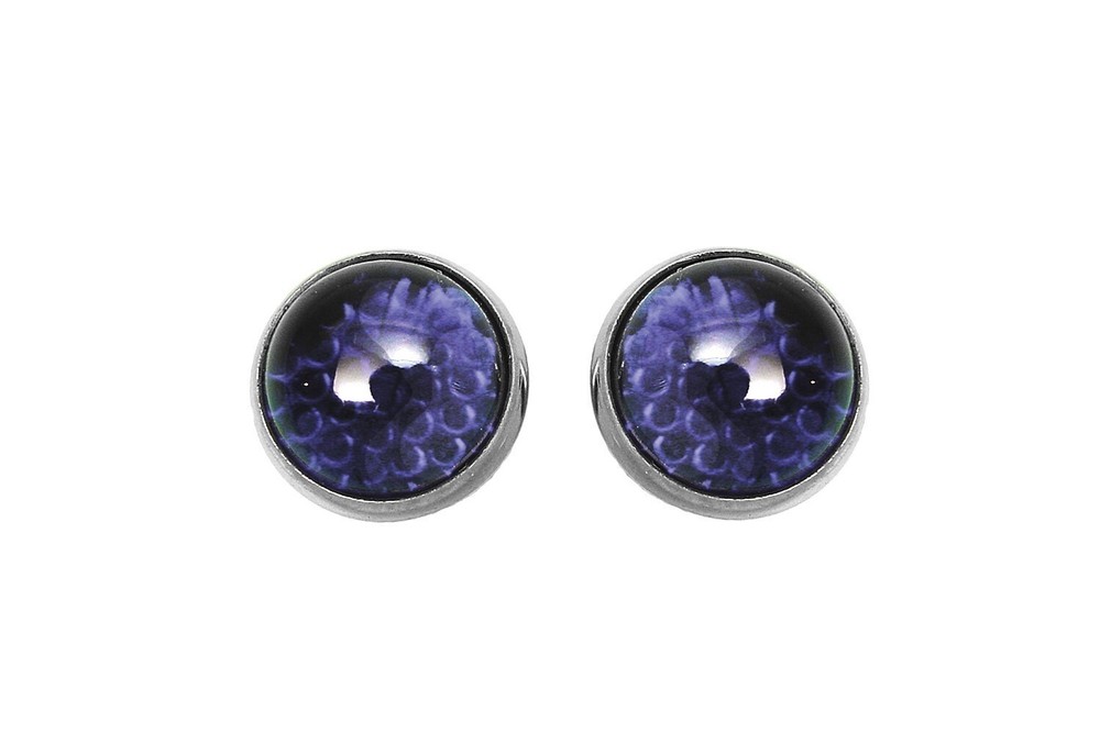 V-Twin 27-8892 Blue Glass License Plate Frame Reflectors