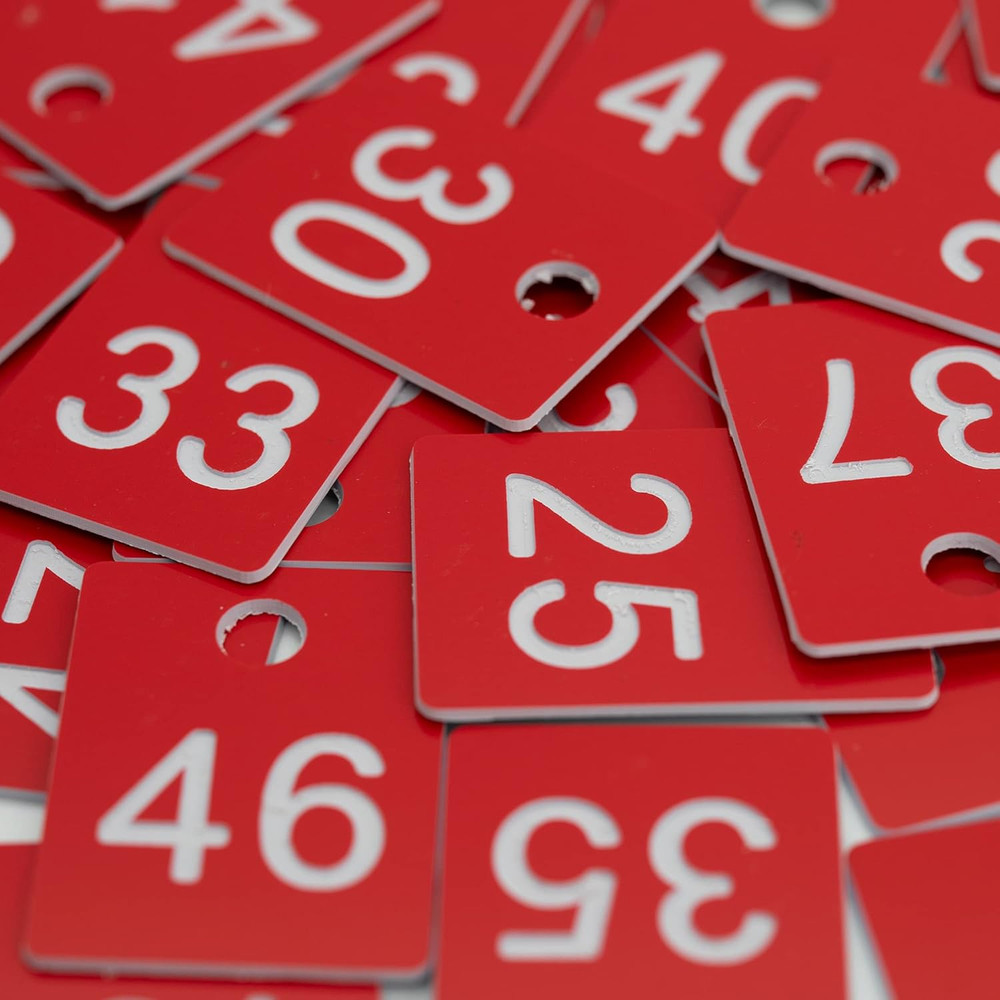 ABS Plastic Numbered Tags for Rectangle Key Number Disc with Hole (1-50, Red)