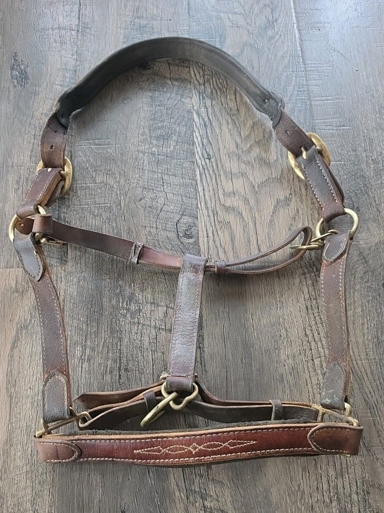 Horse Halter