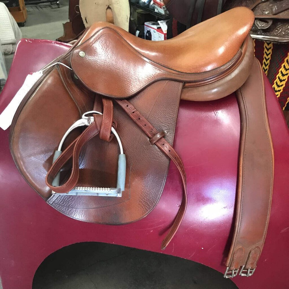 Saddle Jumping CWD SET