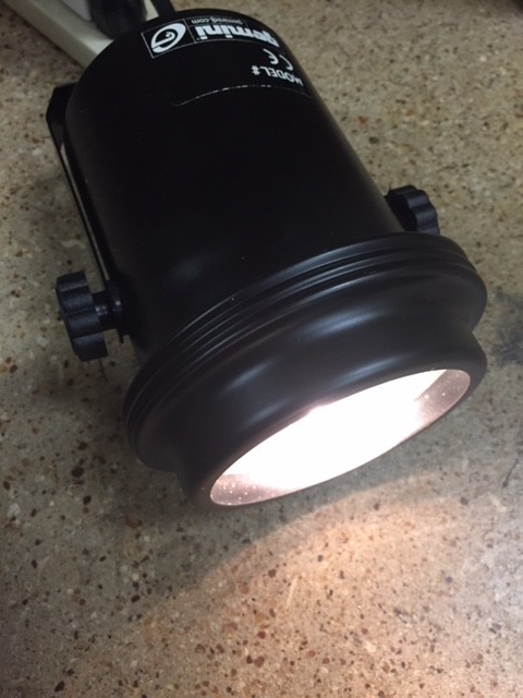 Gemini PS-36 Par Can