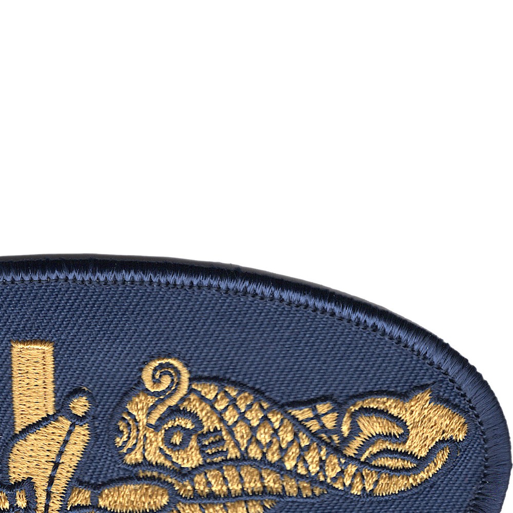 Navy Gold Dolphins Small Version Patch