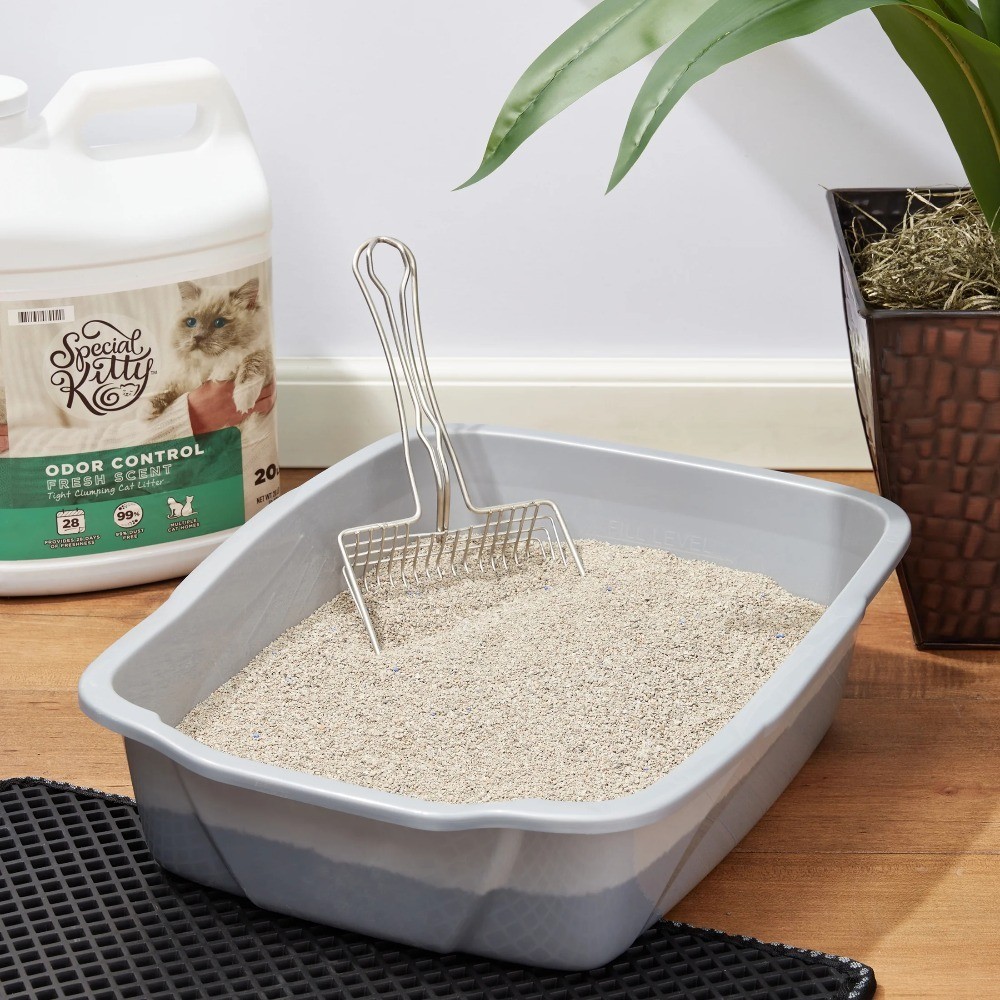 Scoopable Tight Clumping Cat Litter Fresh Scent 20 lb 4 Pack