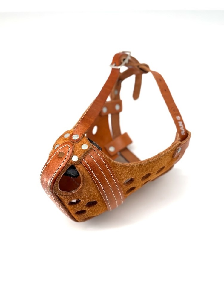 Dog RAM 8 Collar Muzzle Ray Allen Manufacturing