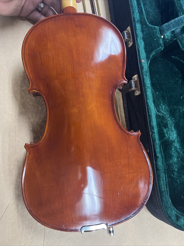 Parrot | Art No. 19 | Violin With Case