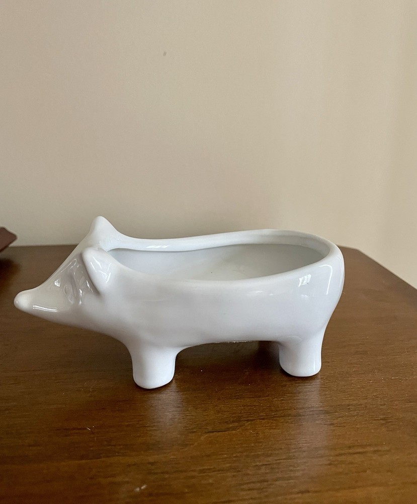 Ceramic White Pig Mug Face Planter Succulent