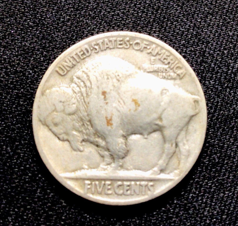 1920 Buffalo Nickel VF. ENN Coins