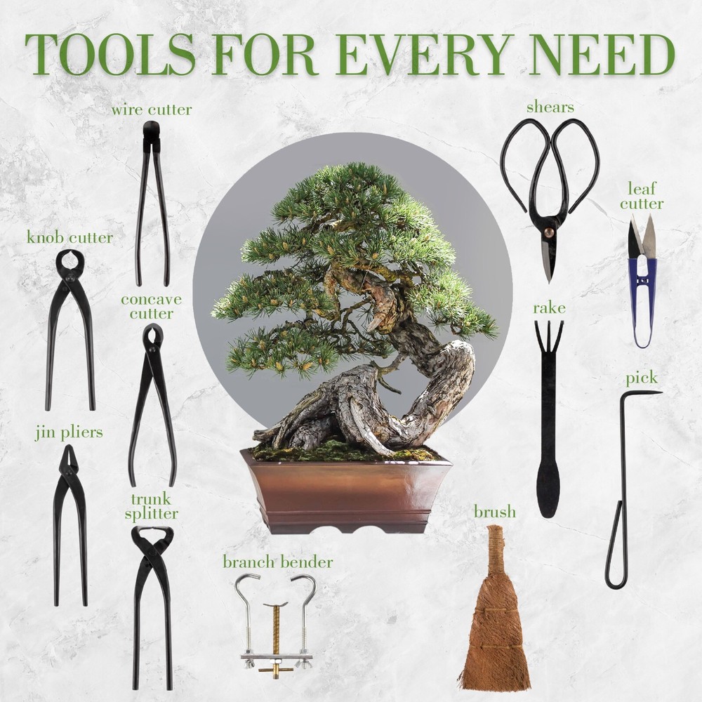 Bonsai Kit 15pc Master Tool Set