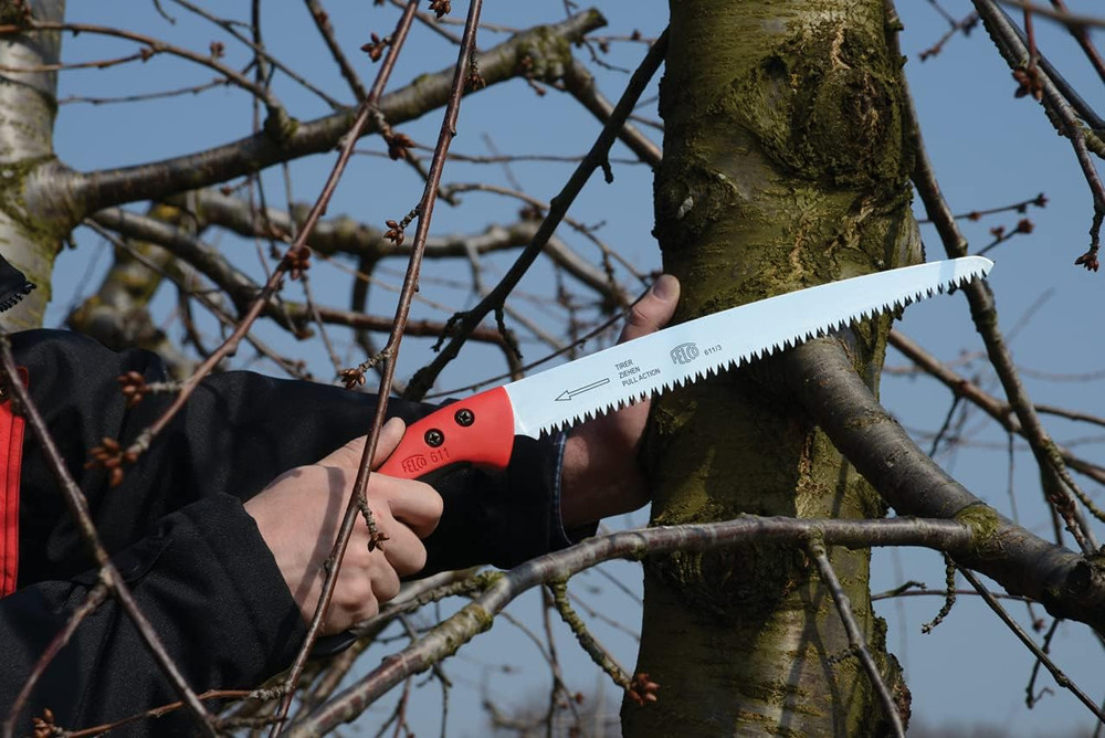 611 Pruning Saw – Straight Pull-Stroke Saw for Tree Trimming & Forestry | Tree B