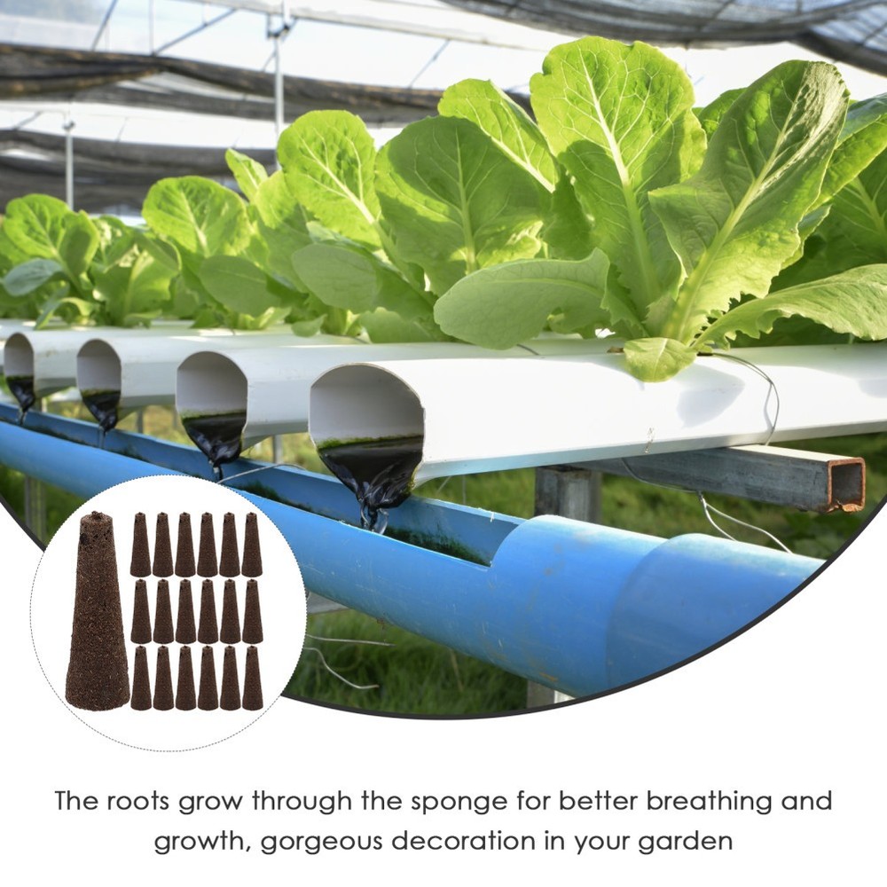 50Pcs Cone Shape Hydroponic Sponges Cultivate Vegetable