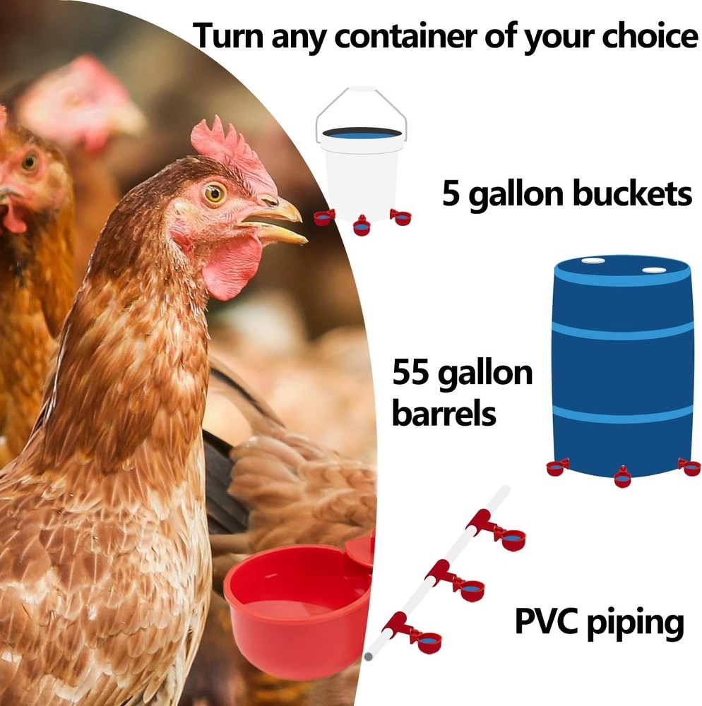 Essential 5 Gallon Automatic Chicken Water Cups - 4 Pack for Flock Hydration