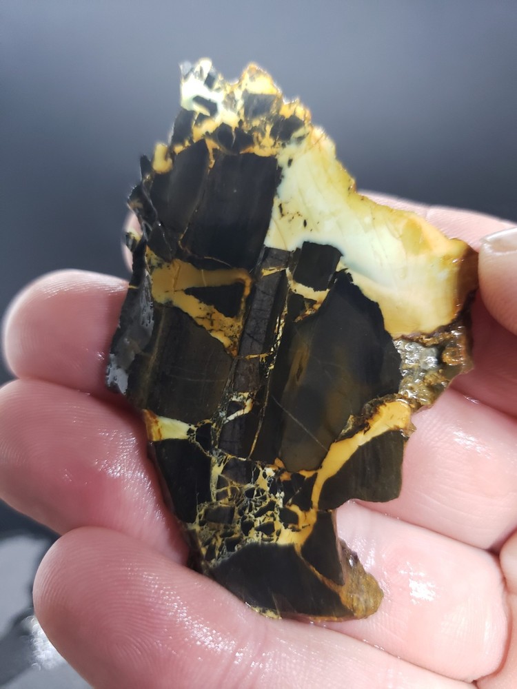 Nevada Gecko Variscite Slab