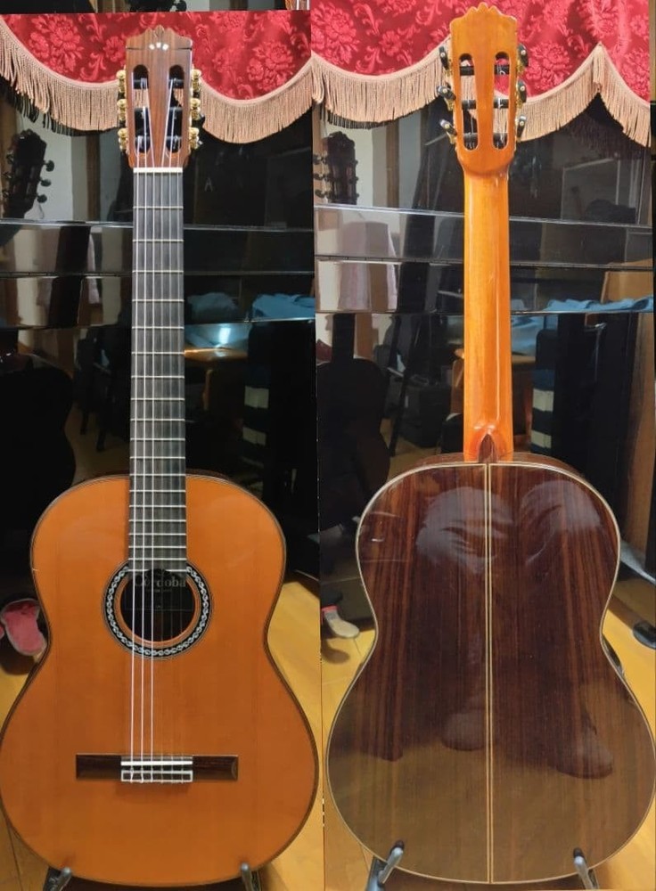 Cordoba Luthier C10 CD Classical Guitar with Case