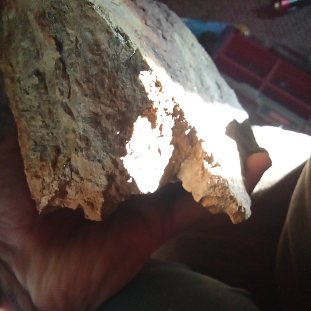 Nor Cal Gold Ore