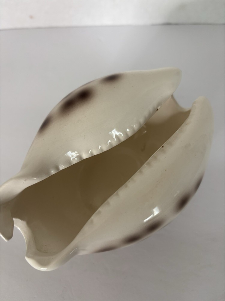 Ceramic Shell-Shaped Planter White Brown Polka Dot Glossy Pottery Decor