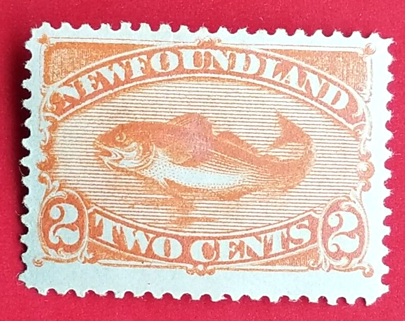 Canada Newfoundland #48 Codfish MH OG