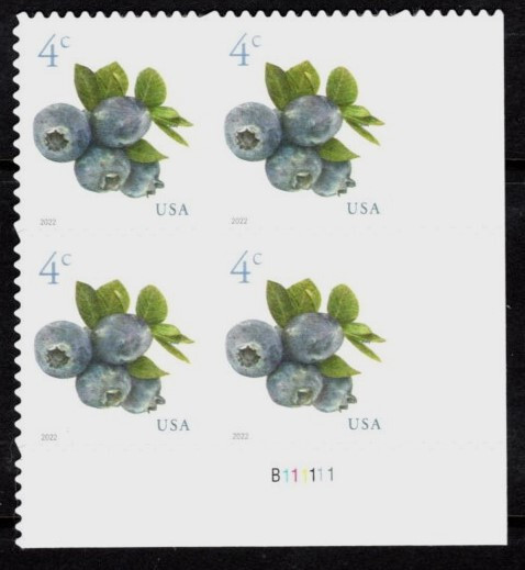 #5652 2022 Blueberries Plate Block/4 - MNH