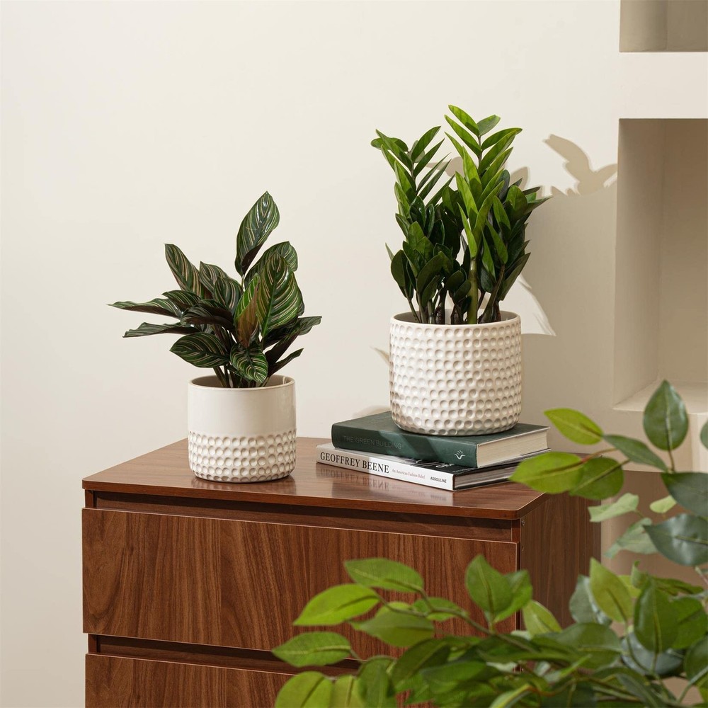 Ceramic Planter Flower Plant Pots- 6.7+5.5 Inch Concave Dot Patterned Cylinde...