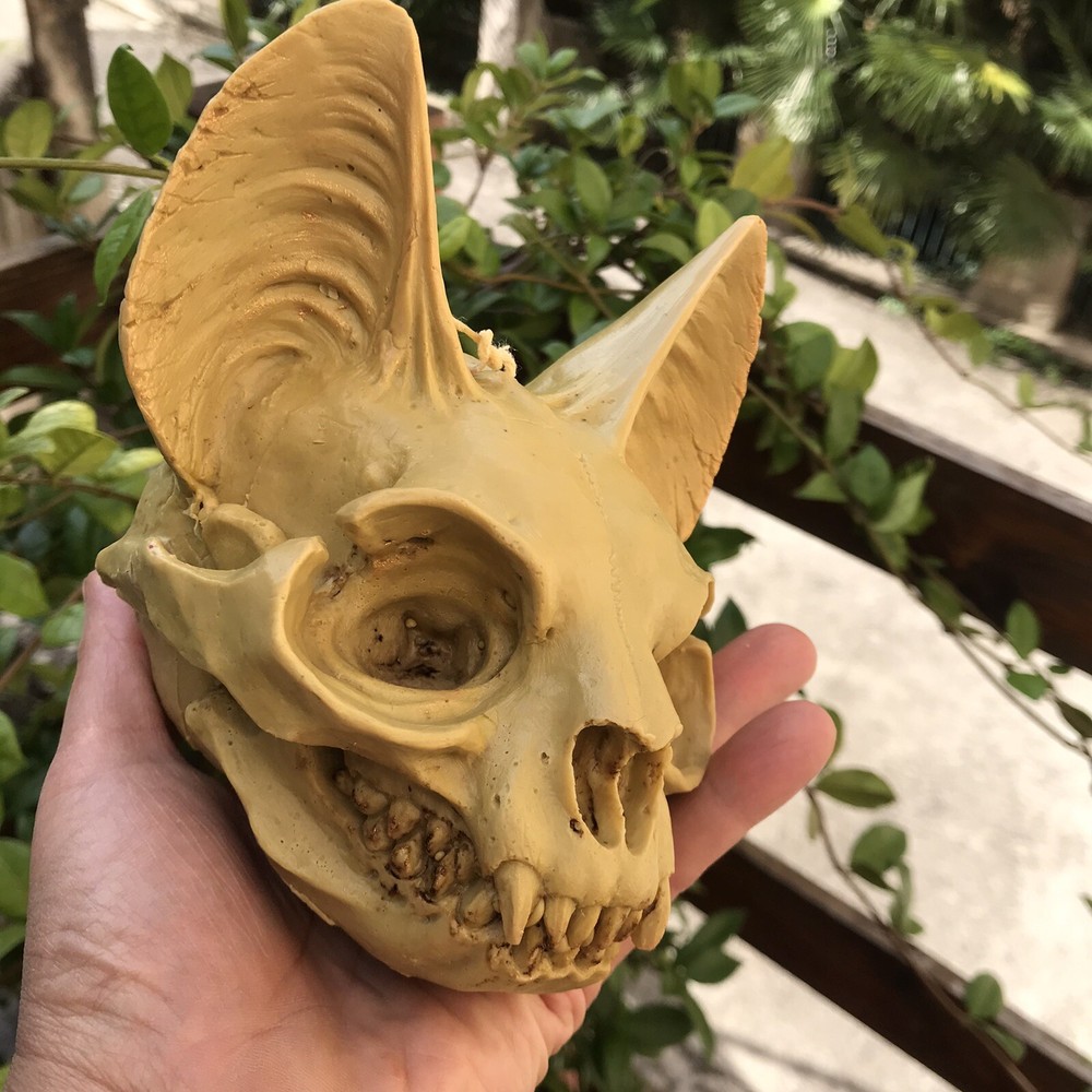 The Silicone Mold “The Cat Skull”