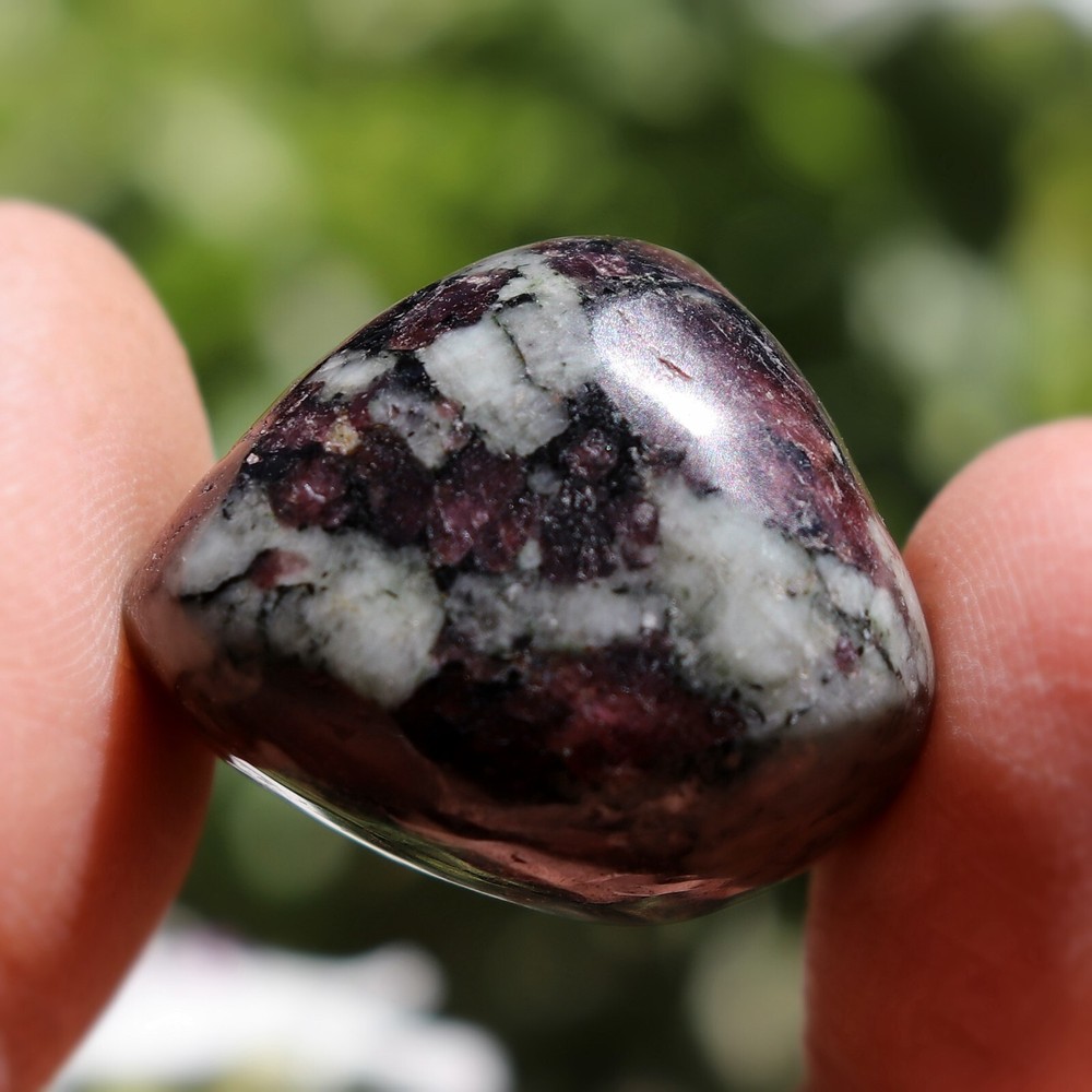 Polished Eudialyte, Fluorescent Mineral (EUD21)