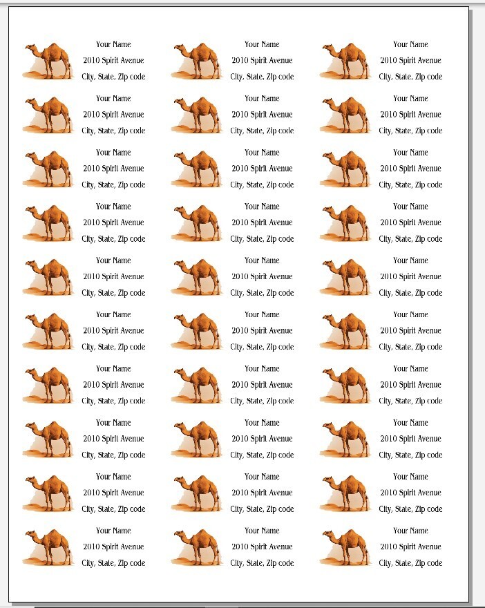 150 Camel in Desert Mailing Return Address Labels Personalized