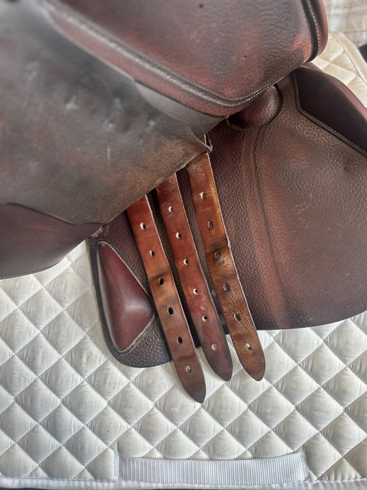 17" Devoucoux Socoa (2014)