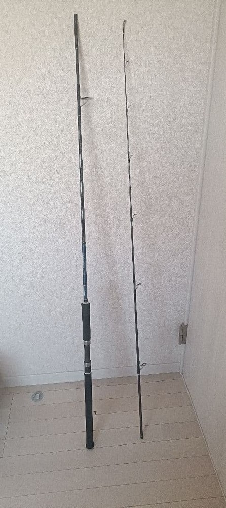 Shore Jigging Set