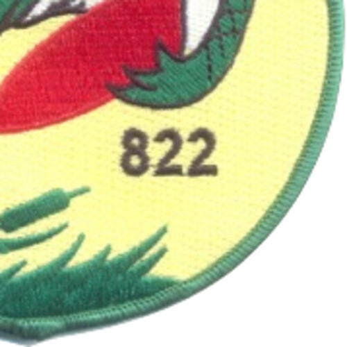 VF-822 Fighter Squadron Patch