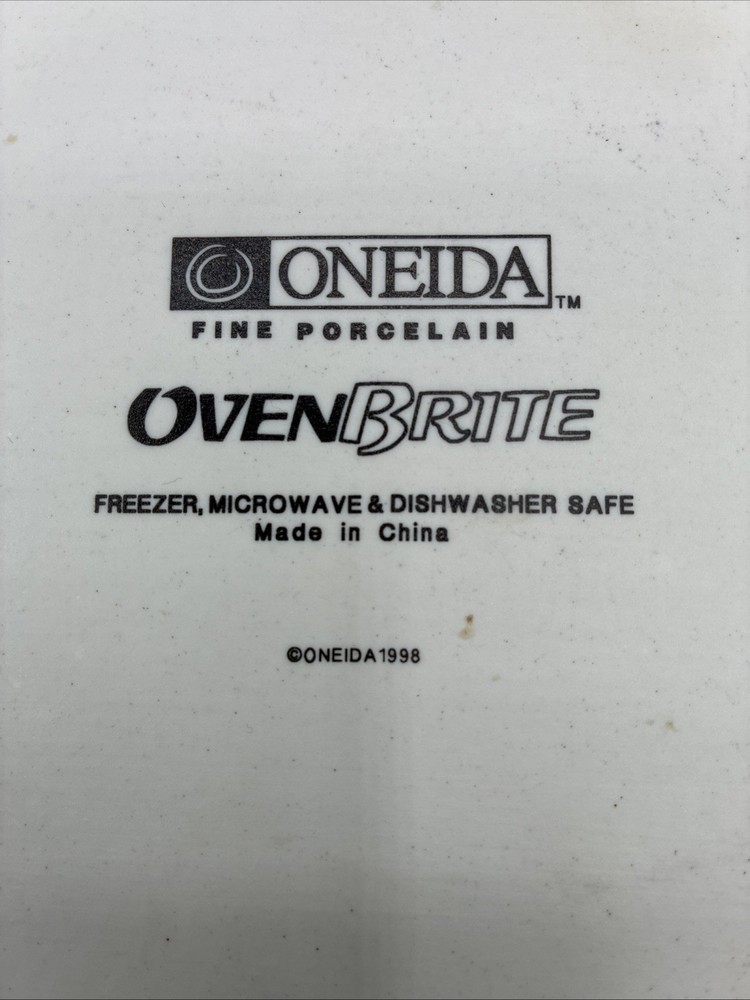 oneida oven brite 9x9