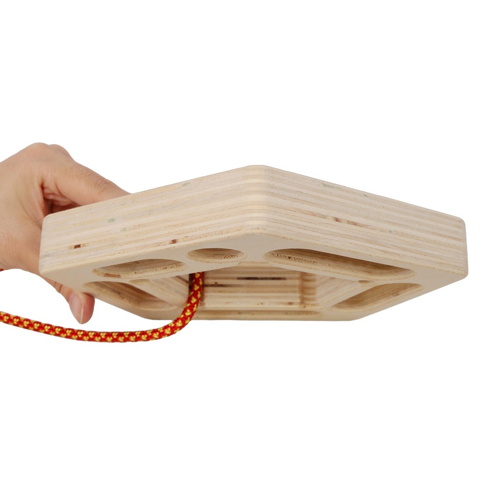 2PACK climbing board climbing training, climbing fingerboard