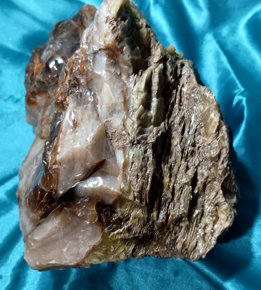 Opalized Petrified Wood Display Specimen WA State 7 LB 8 OZ