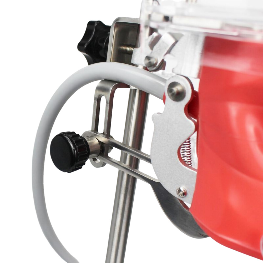 Mannequin Head Teeth Model Desk Fixing Clip Dental Teaching Practicing Head Mold