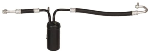 56841 Accumulator with Hose