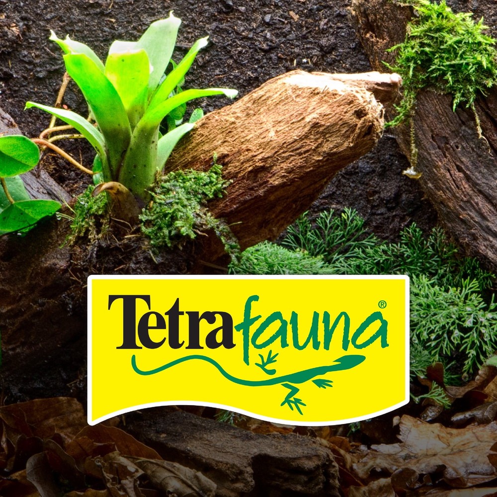 4 Count ReptoFilter Unassembled Disposable Filter Cartridges Medium