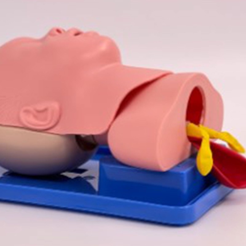 Infant Intubation Training Model Tracheal Intubation Practice Model