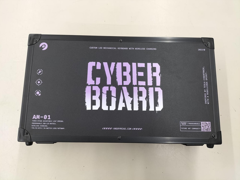 CYBERBOARD R2 Model CB02 ANGRYMIAO
