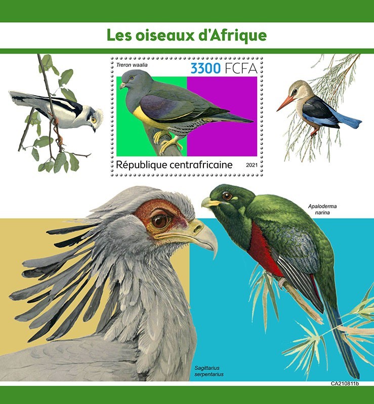African birds