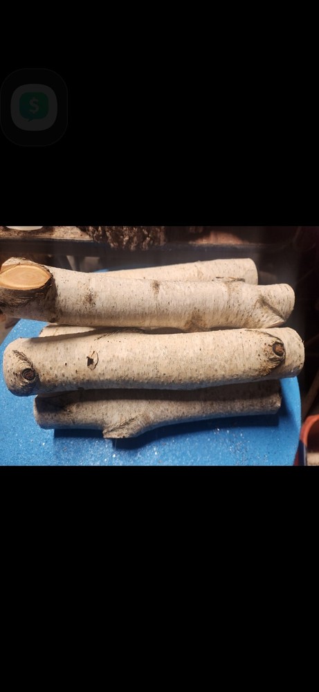 White Birch Decorative Log Set