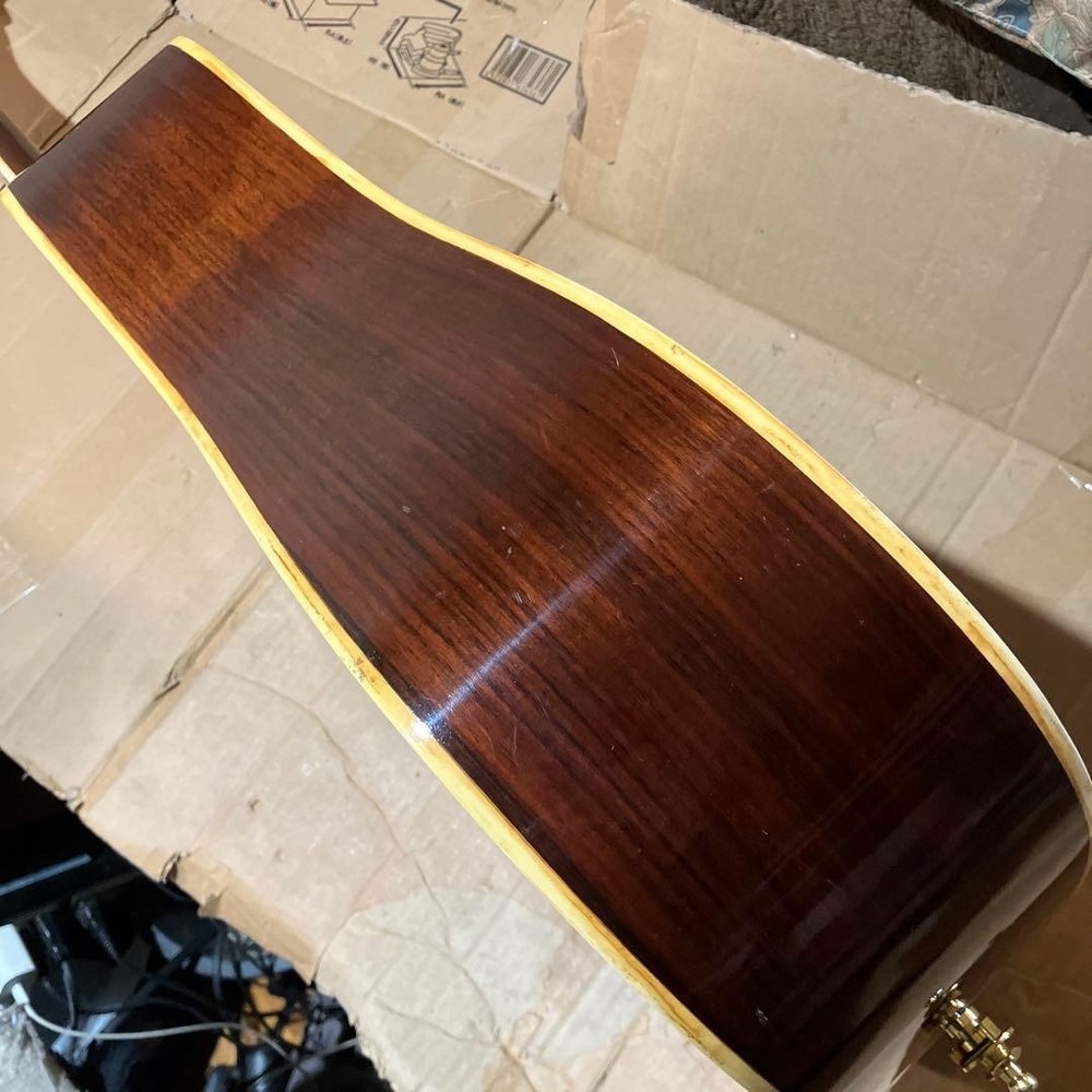 Mysterious Domestic Guild Model