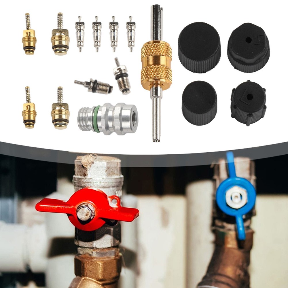 Complete AC Valve Core Kit for R12 For R134a Systems with Installation Tools