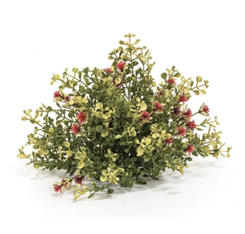 10" Ruby Buds & Baby's Grass Half Sphere
