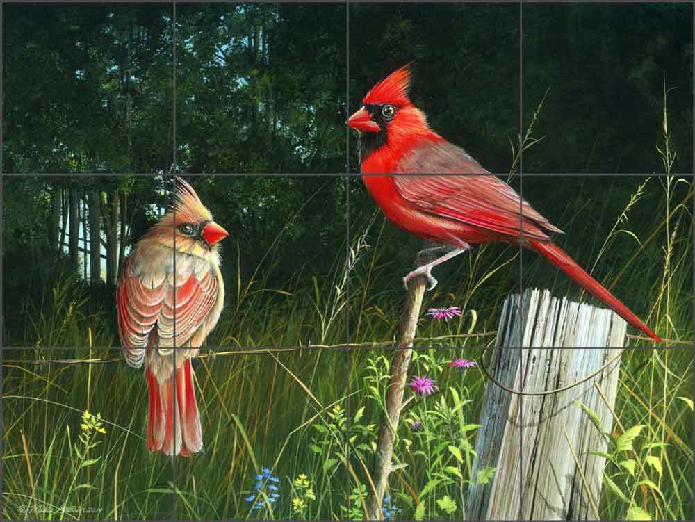Cardinal Tile Backsplash Mike Brown Wildlife Bird Art Ceramic Mural MBA016